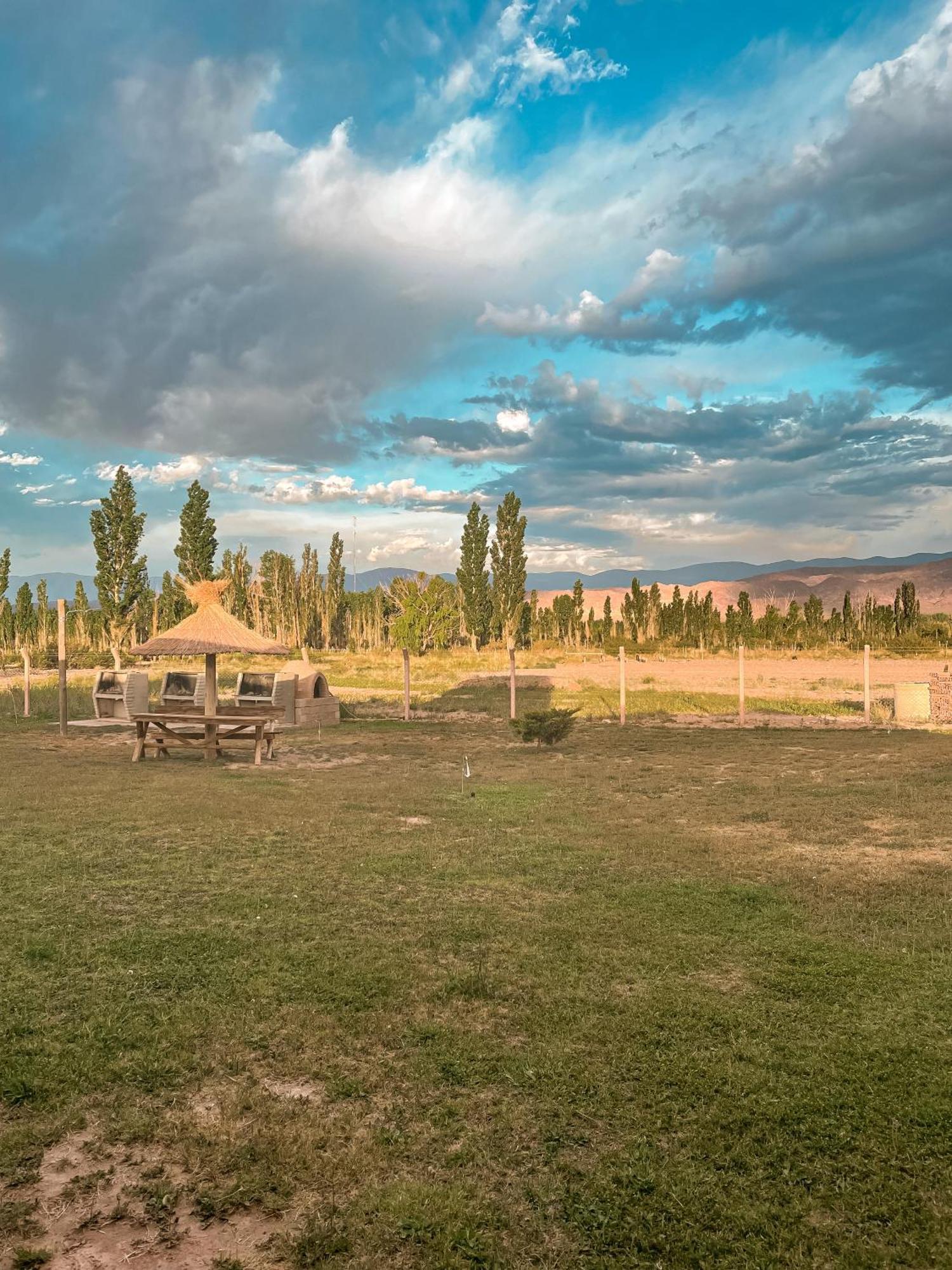Posada Villa Pituil Барреаль Экстерьер фото